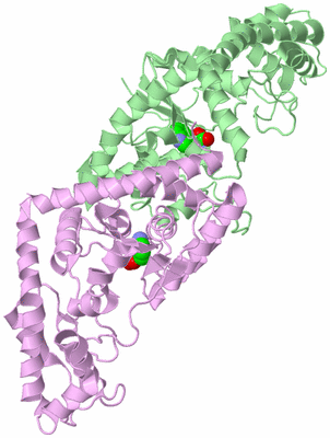 Image Biological Unit 2