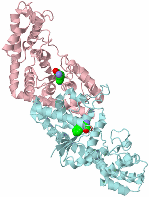 Image Biological Unit 3