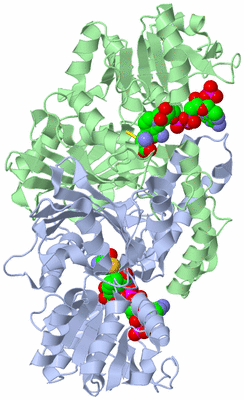 Image Asym./Biol. Unit