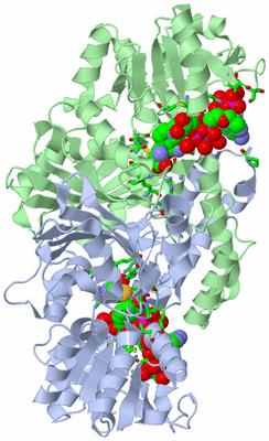 Image Asym./Biol. Unit - sites