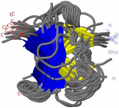 Image NMR Structure - all models