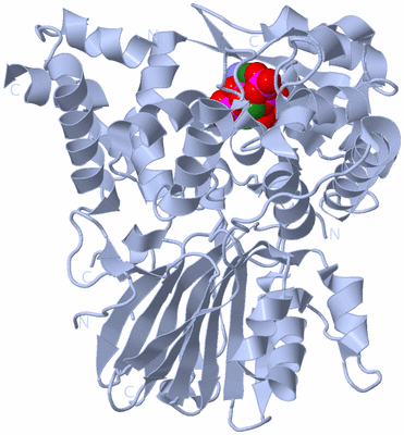 Image Biological Unit 1