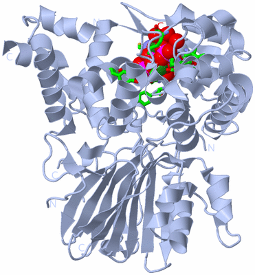 Image Biol. Unit 1 - sites