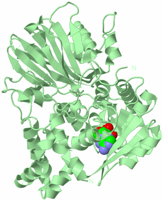 Image Biological Unit 2