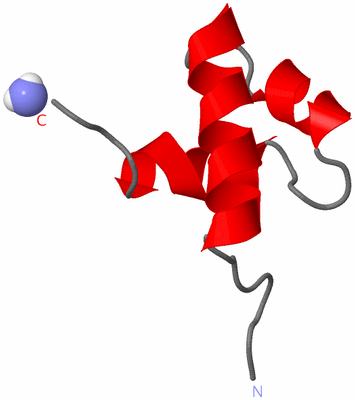 Image NMR Structure - model 1