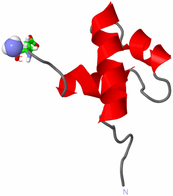 Image NMR Structure - model 1, sites