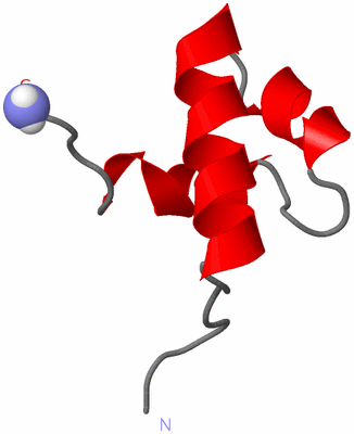 Image NMR Structure - model 1