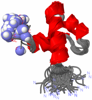 Image NMR Structure - all models