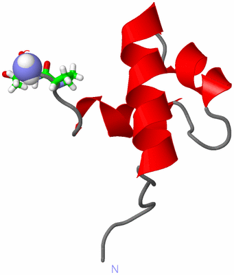 Image NMR Structure - model 1, sites