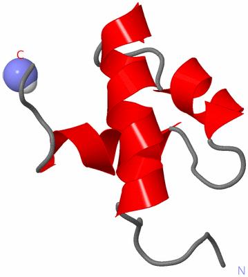 Image NMR Structure - model 1