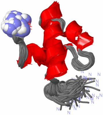 Image NMR Structure - all models