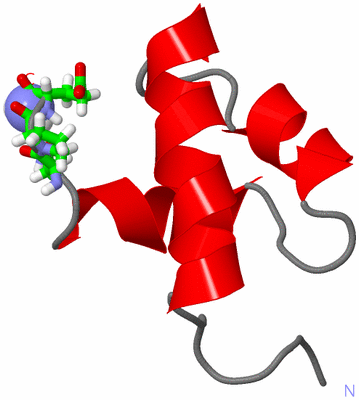 Image NMR Structure - model 1, sites