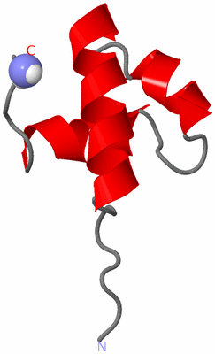 Image NMR Structure - model 1