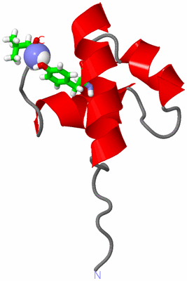 Image NMR Structure - model 1, sites