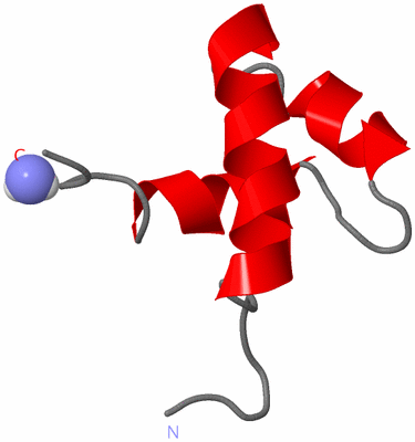 Image NMR Structure - model 1