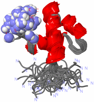 Image NMR Structure - all models