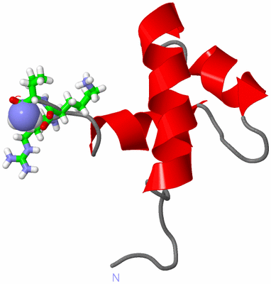 Image NMR Structure - model 1, sites