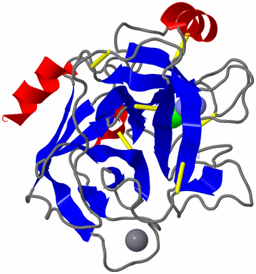 Image Asym./Biol. Unit