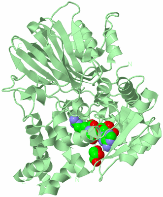 Image Biological Unit 2