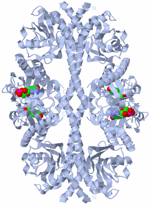 Image Biological Unit 3