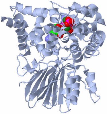 Image Biological Unit 1