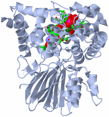 Image Biol. Unit 1 - sites