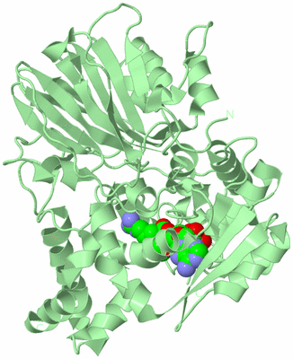 Image Biological Unit 2