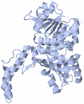 Image Biological Unit 1