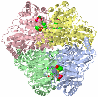 Image Biological Unit 1