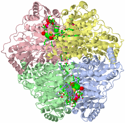 Image Biol. Unit 1 - sites