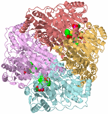 Image Biological Unit 2