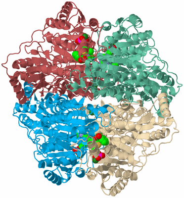 Image Biological Unit 3