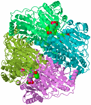 Image Biological Unit 4