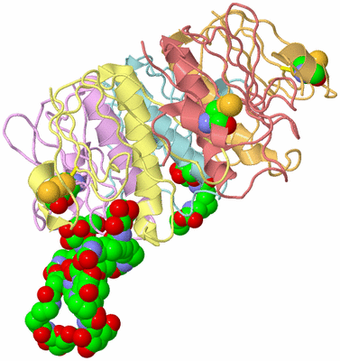 Image Asym./Biol. Unit