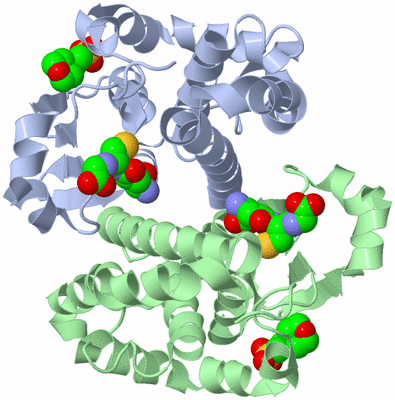 Image Asym./Biol. Unit