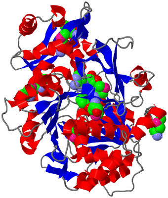 Image Asym./Biol. Unit