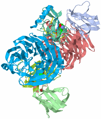 Image Asym./Biol. Unit