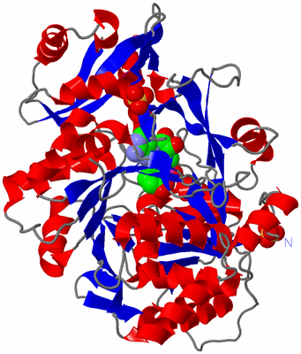 Image Asym./Biol. Unit