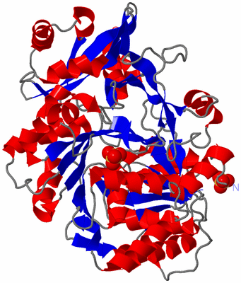 Image Asym./Biol. Unit