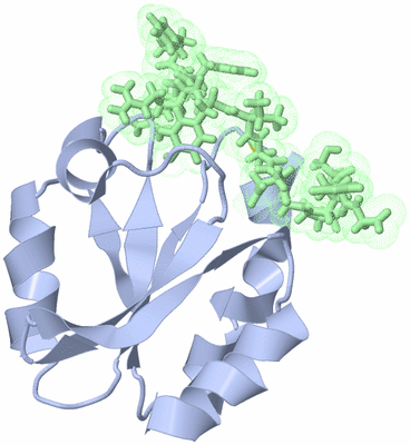 Image NMR Structure - model 1