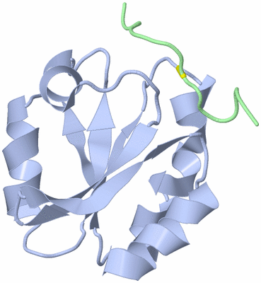 Image NMR Structure - all models