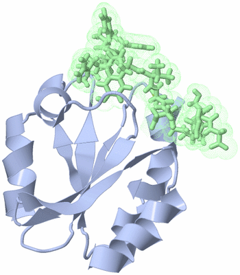 Image NMR Structure - model 1