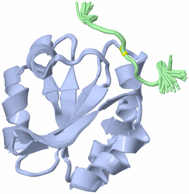 Image NMR Structure - all models