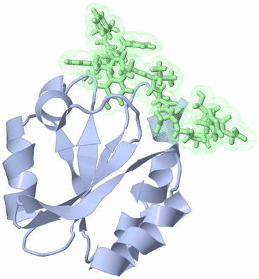 Image NMR Structure - model 1