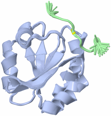 Image NMR Structure - all models