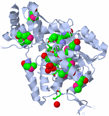 Image Biol. Unit 1 - sites