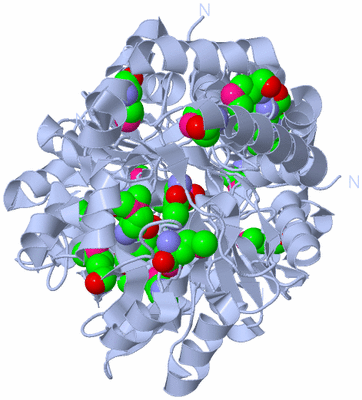 Image Biological Unit 2