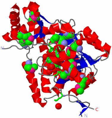 Image Asym. Unit - sites