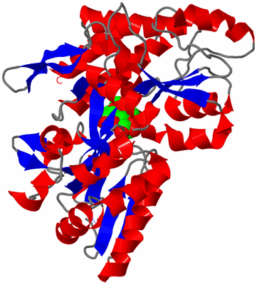 Image Asym./Biol. Unit