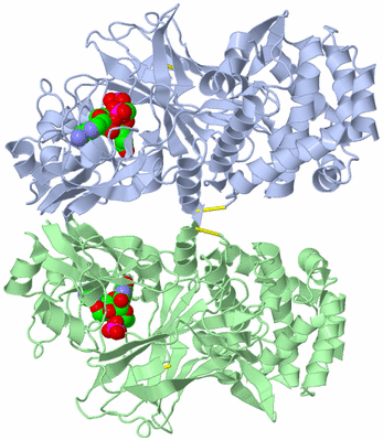 Image Asym./Biol. Unit